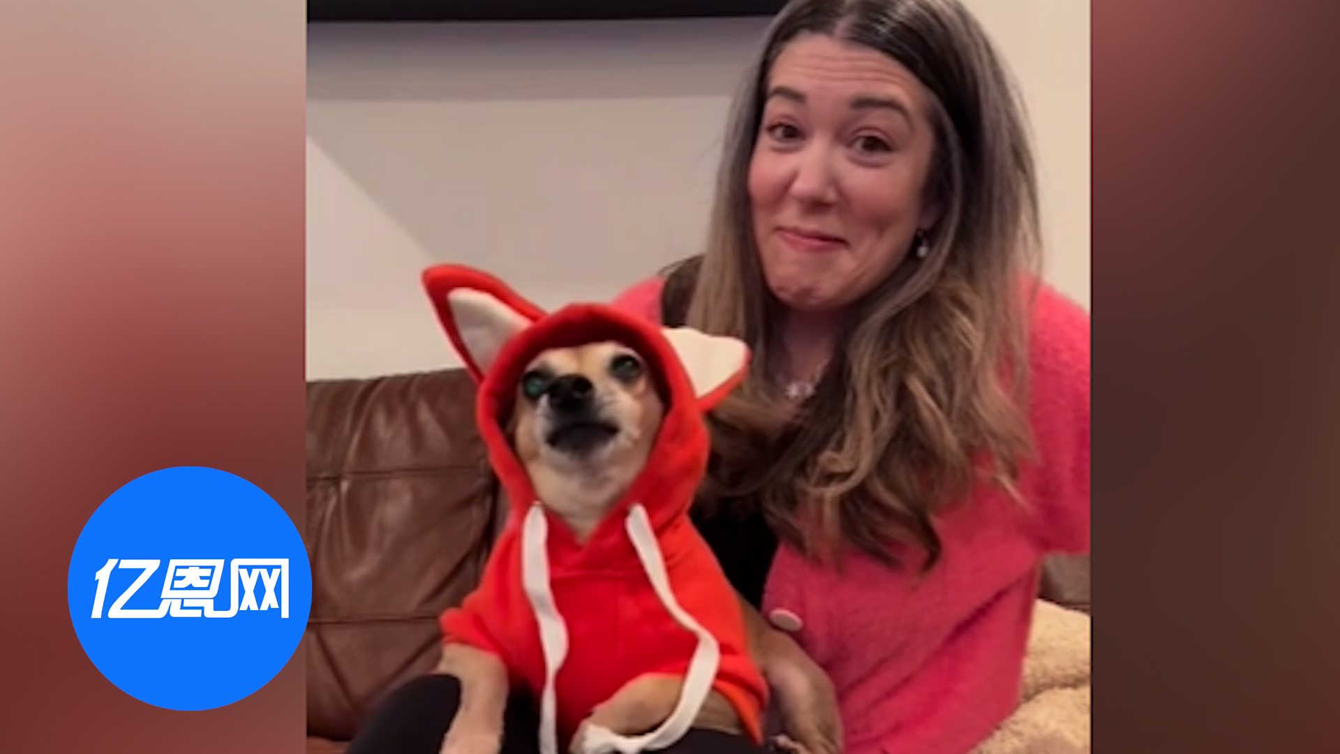 老外从Temu买的小狗衣服，在网上火了